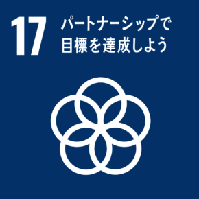 17. パートナーシップで目標を達成しよう