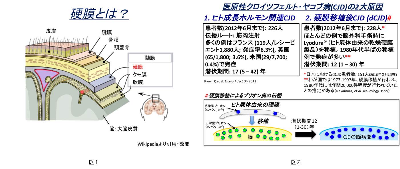 連結図