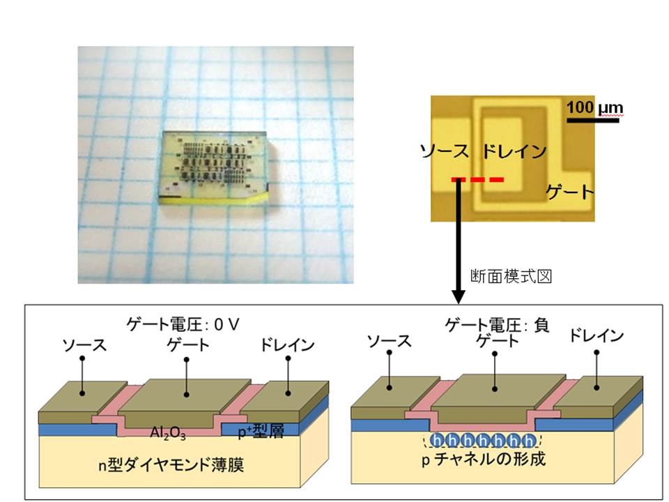 図. 今回作製した反転層チャネルダイヤモンドMOSFET（左上）とその中の一素子を光学顕微鏡で拡大した画像（右上），赤い破線部の断面模式図（左下：ゲート電圧が0 V時，右下：ゲート電圧が負の時）