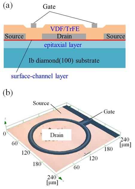 figure1