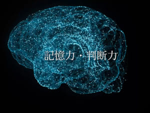 【ココカラ】Research46「認知機能からこころの健康に取り組む」/金沢大学研究紹介動画