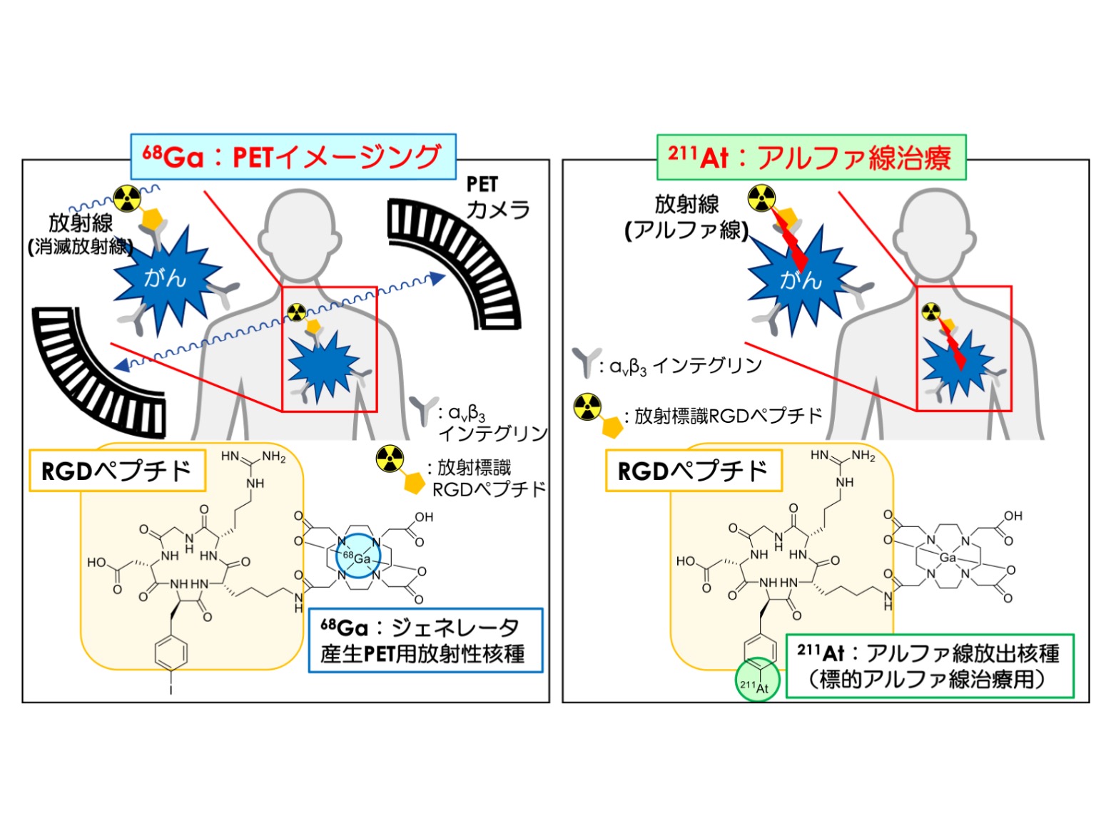 がんの包括的診断治療による超個別化医療の確立へ向けて新手法を開発 がんの包括的診断治療による超個別化医療の確立へ向けて新手法を開発