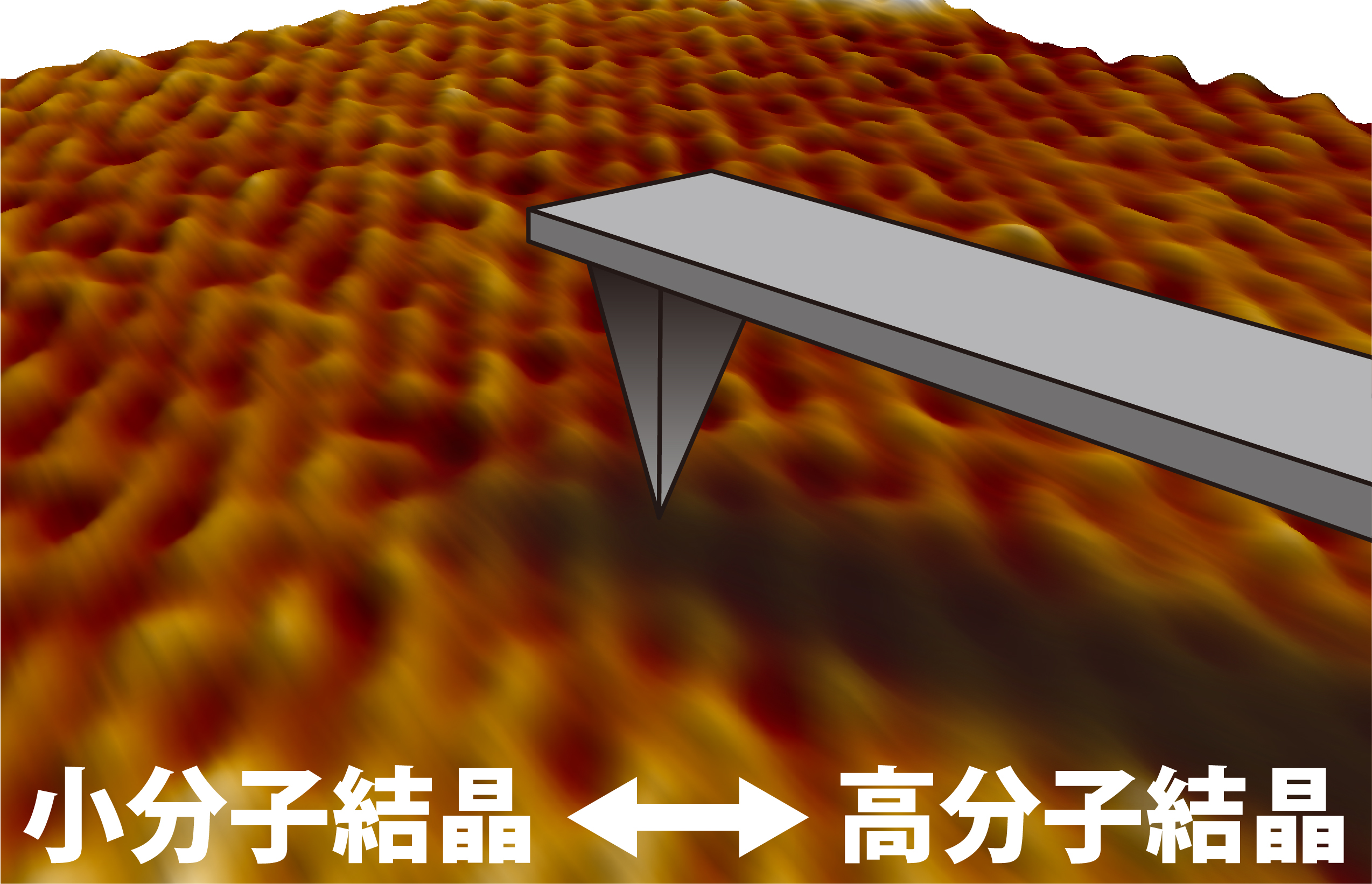 高分子物理学 : 巨大イオン系の構造形成 高分子物理学 : 巨大イオン系の構造形成 (朝倉物理学大系 ; 16