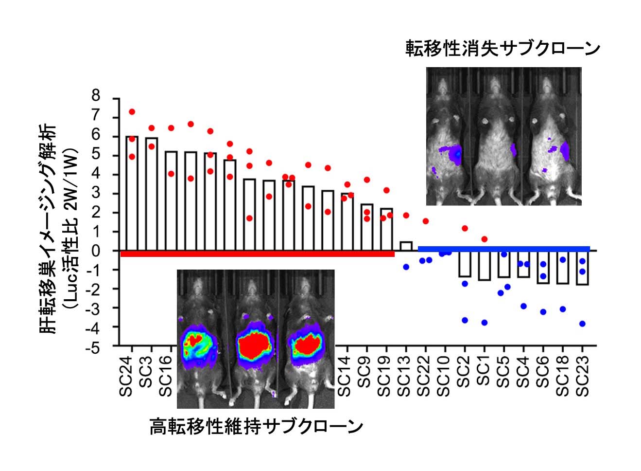 金剛般若波羅密經 | 京都大学貴重資料デジタルアーカイブ
