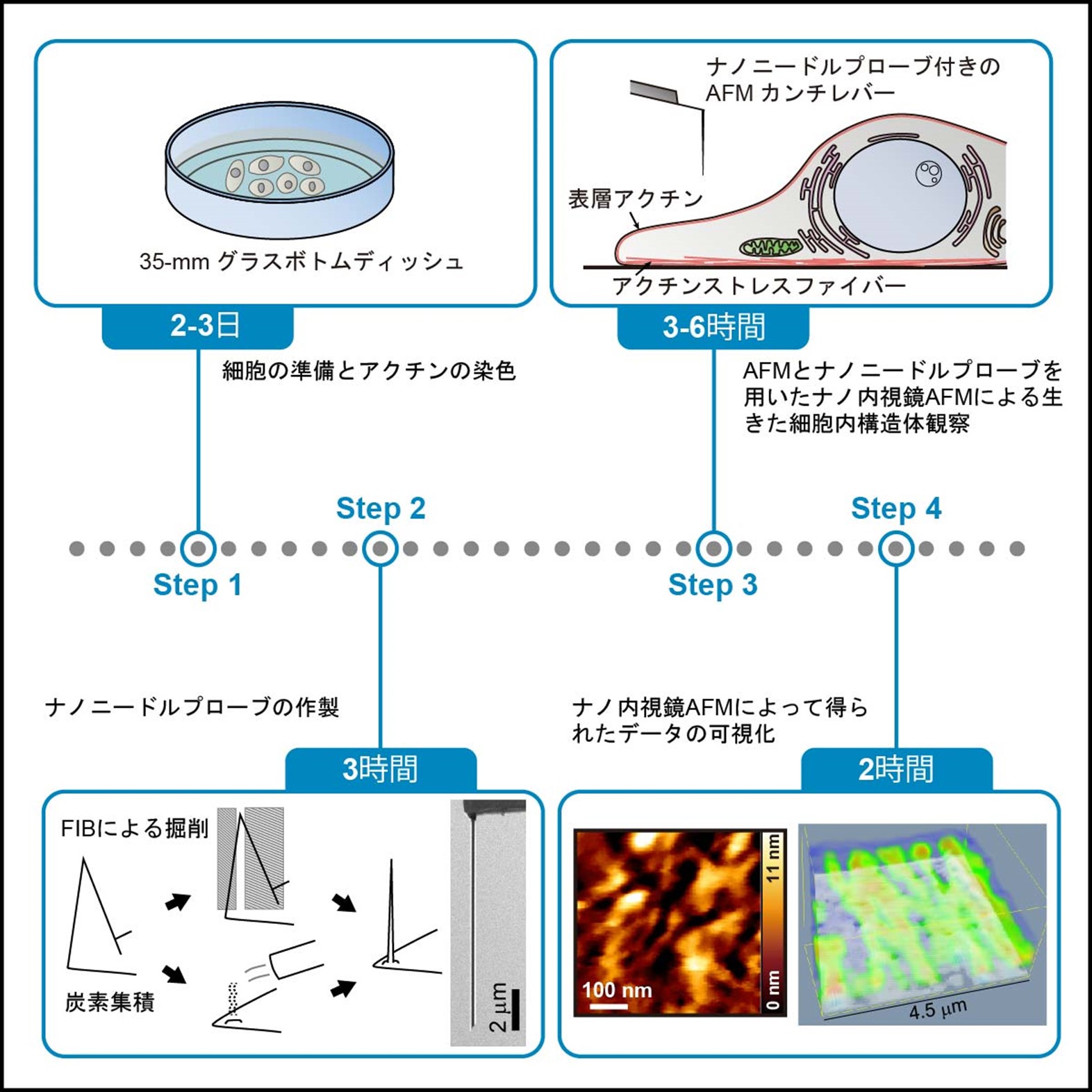 Afm を用いた液晶配向膜表面ナノスケール構造解析 – Afm トンネル顕微鏡 – LLNLZ