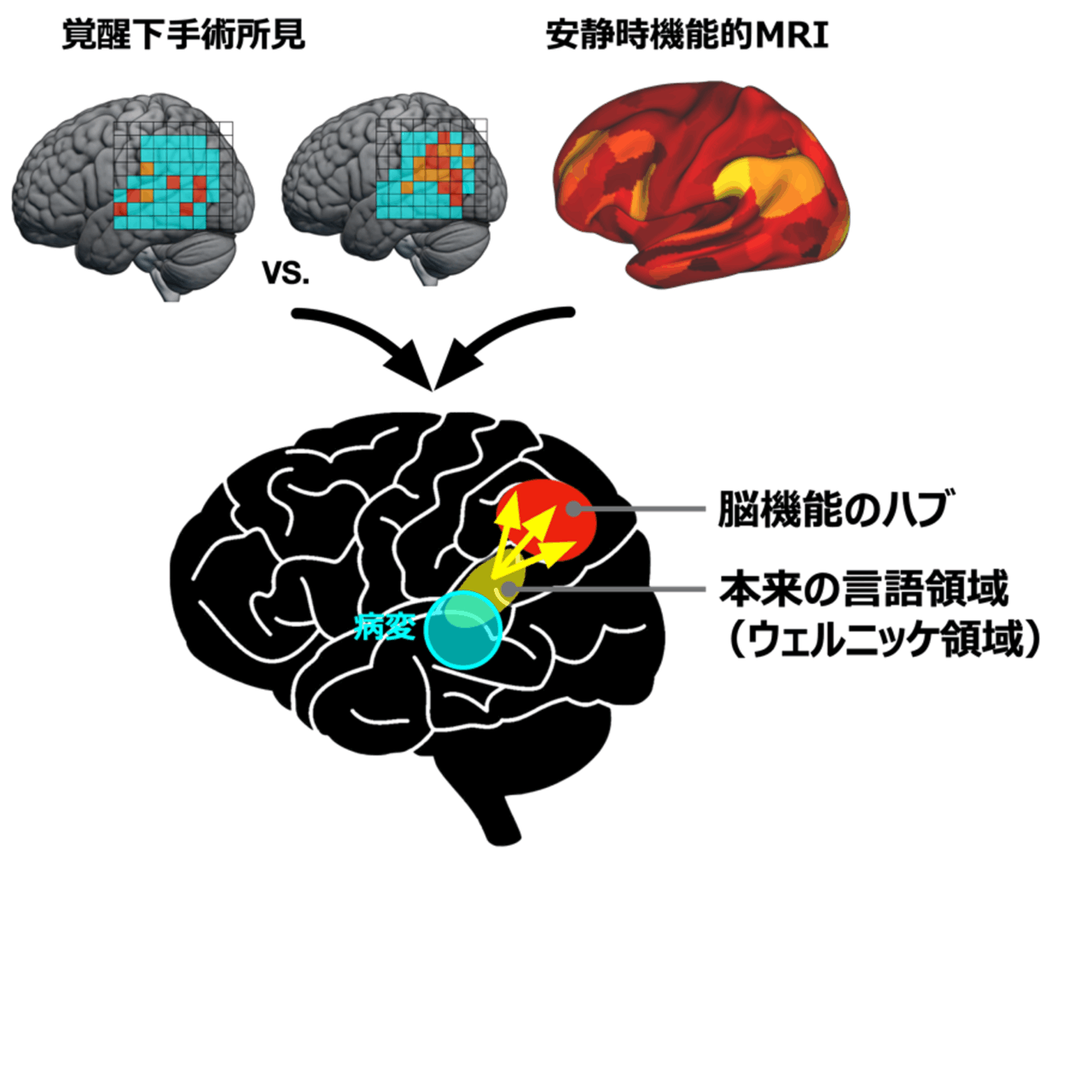 脳機能入門 = A Glimpse of Brain Functions : … 脳機能 入門: 機能局