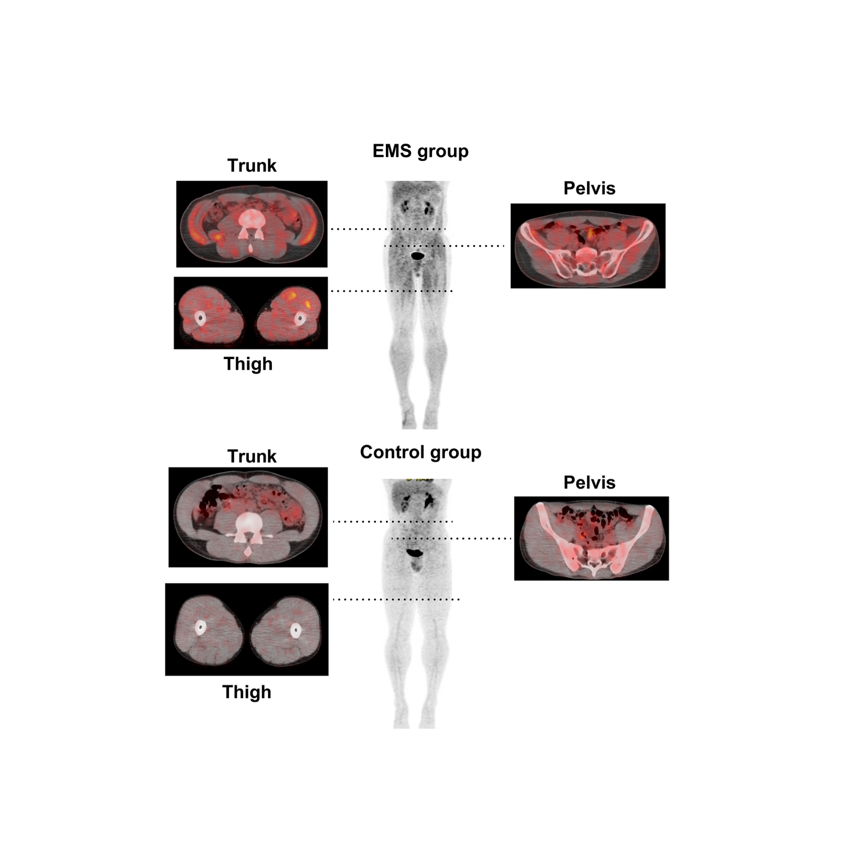 ⭐️ka プロフ必須 ⭐️医療系のための情報リテラシー＋HUMAN BODY 413MxwLrOXL._AC_SY200_QL15_.jpg
