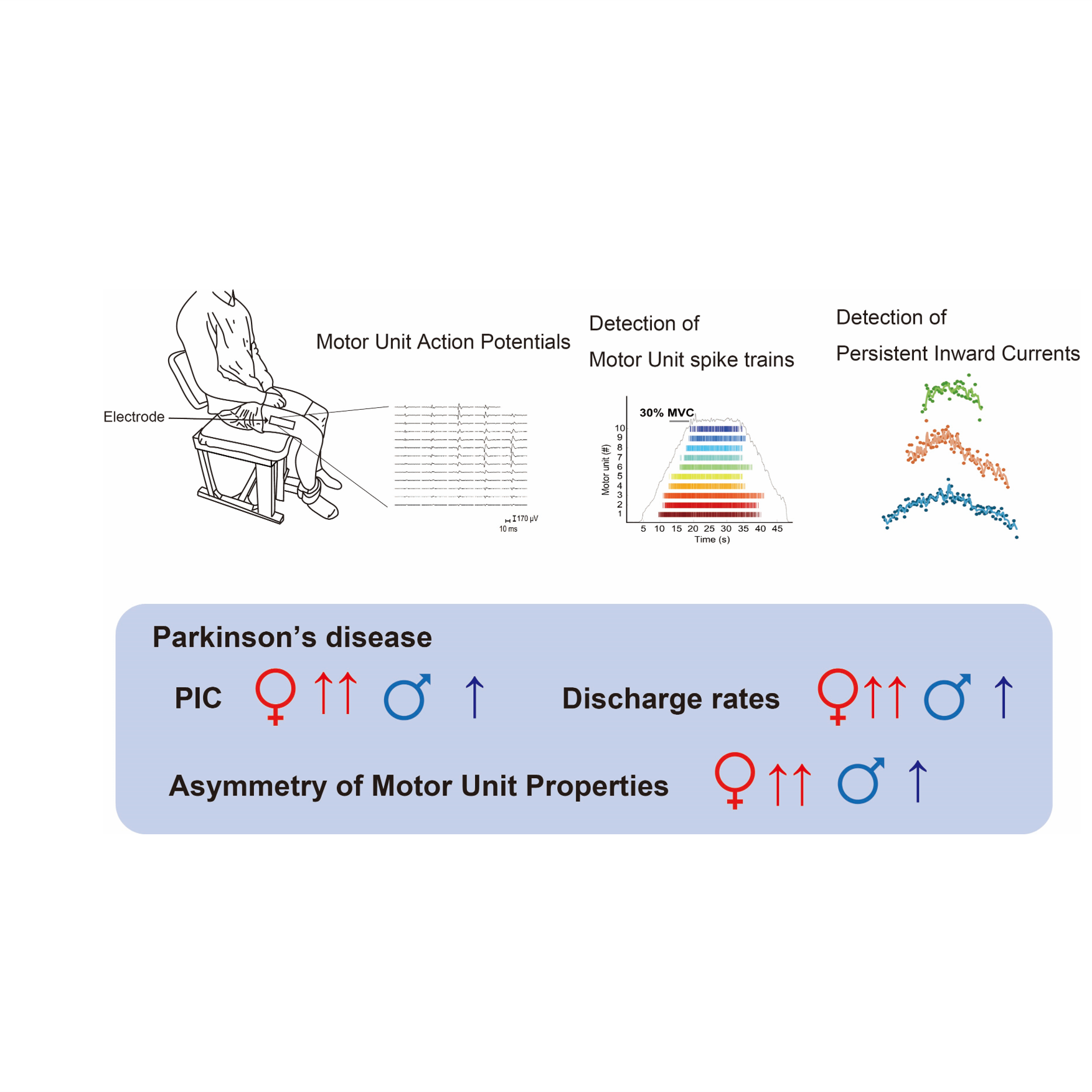 西川 裕一さん 写真