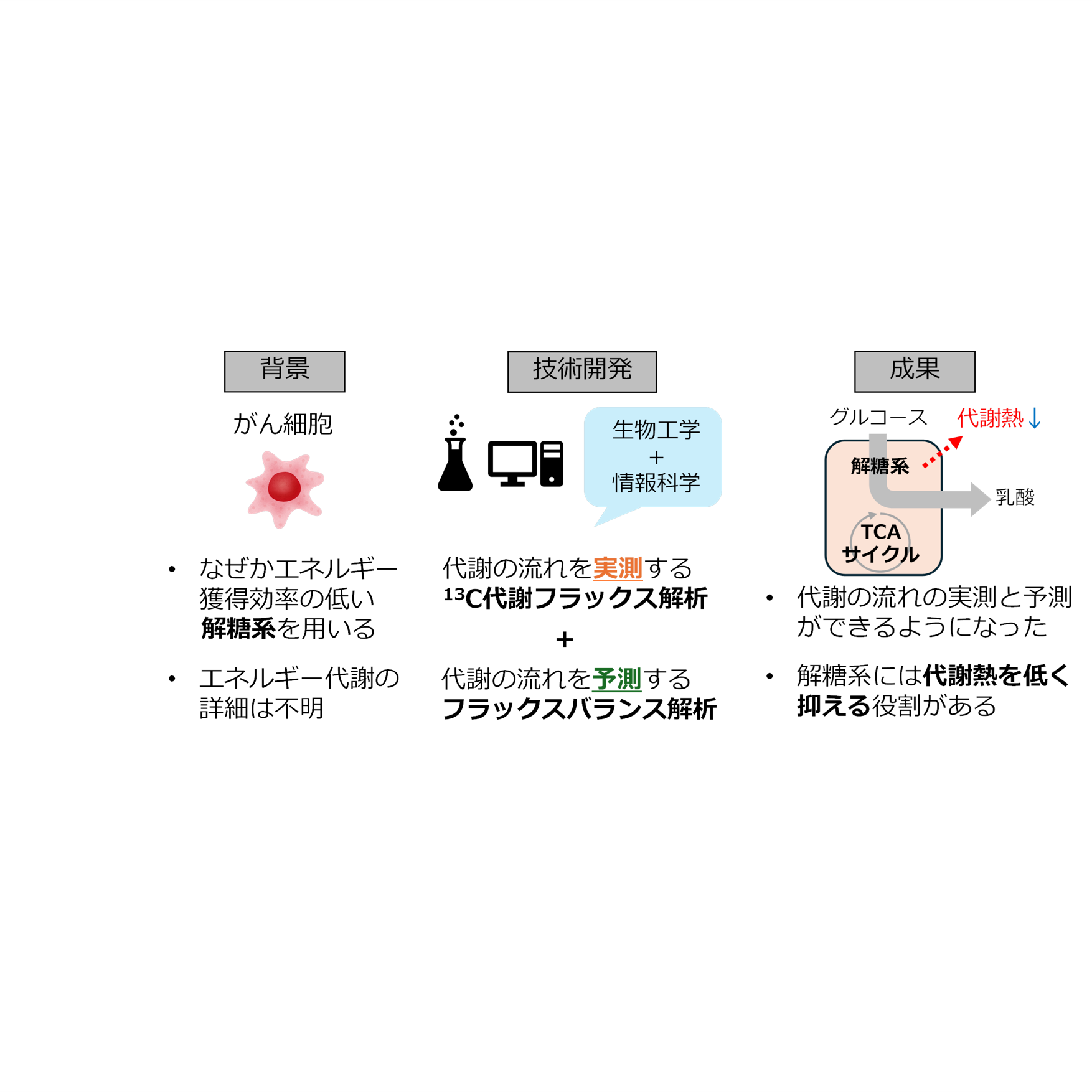 髙橋 智聡さん 写真