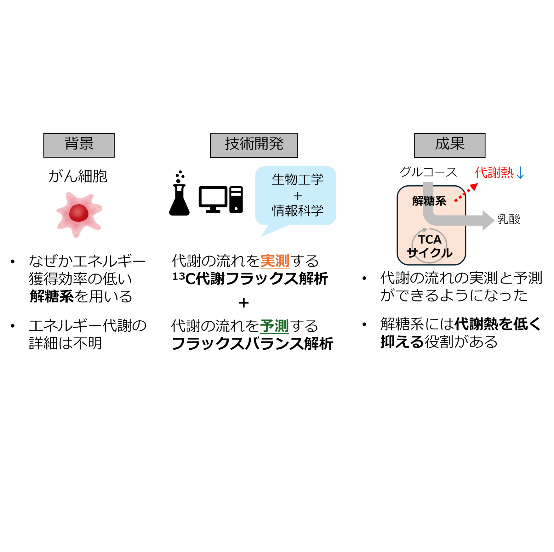 MIRAICHI – ページ 5 – 金沢大学