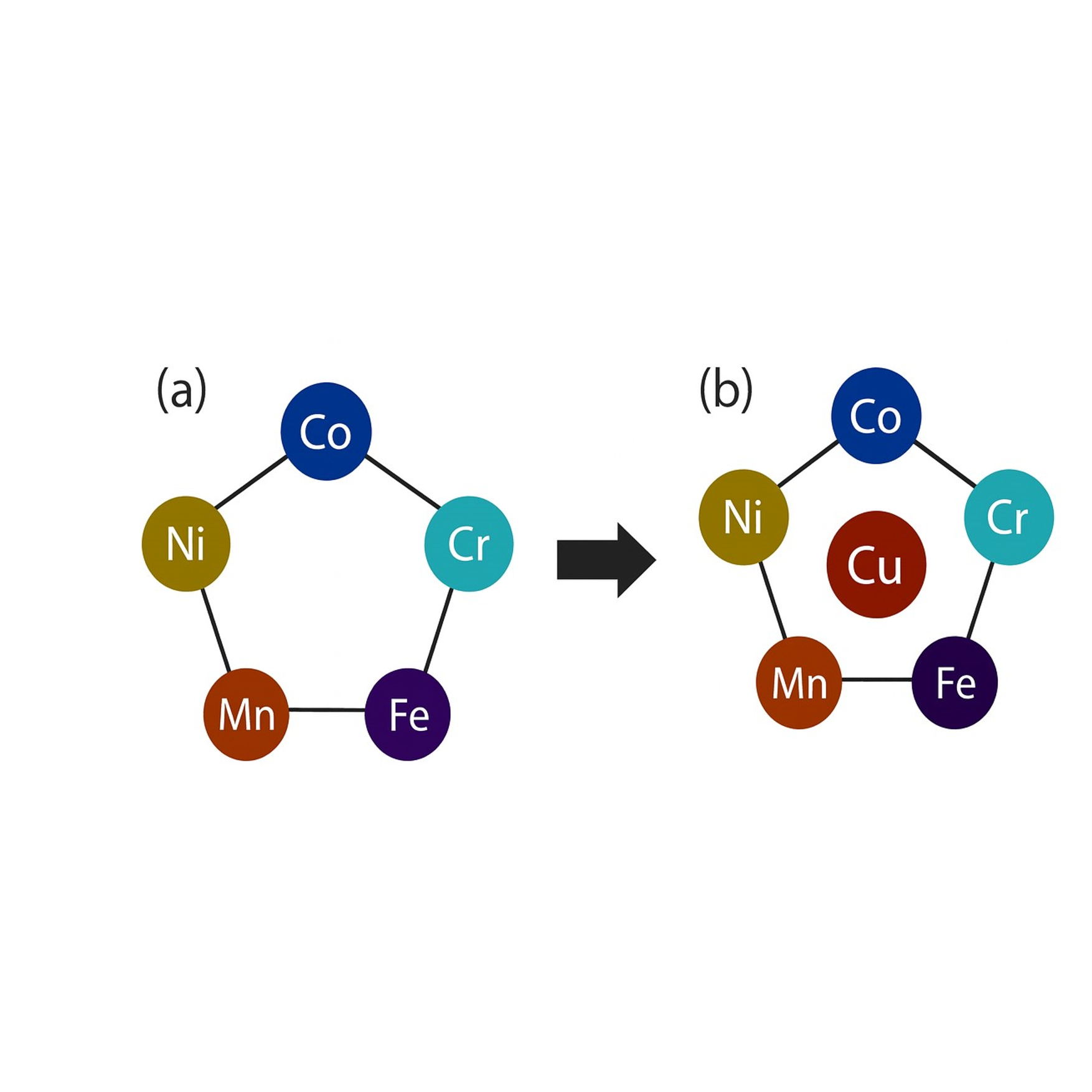 宮嶋 陽司さん 写真