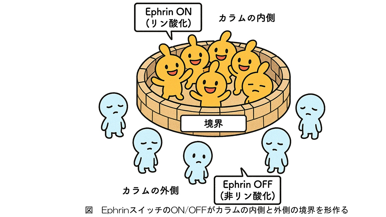 佐藤　純さん 写真