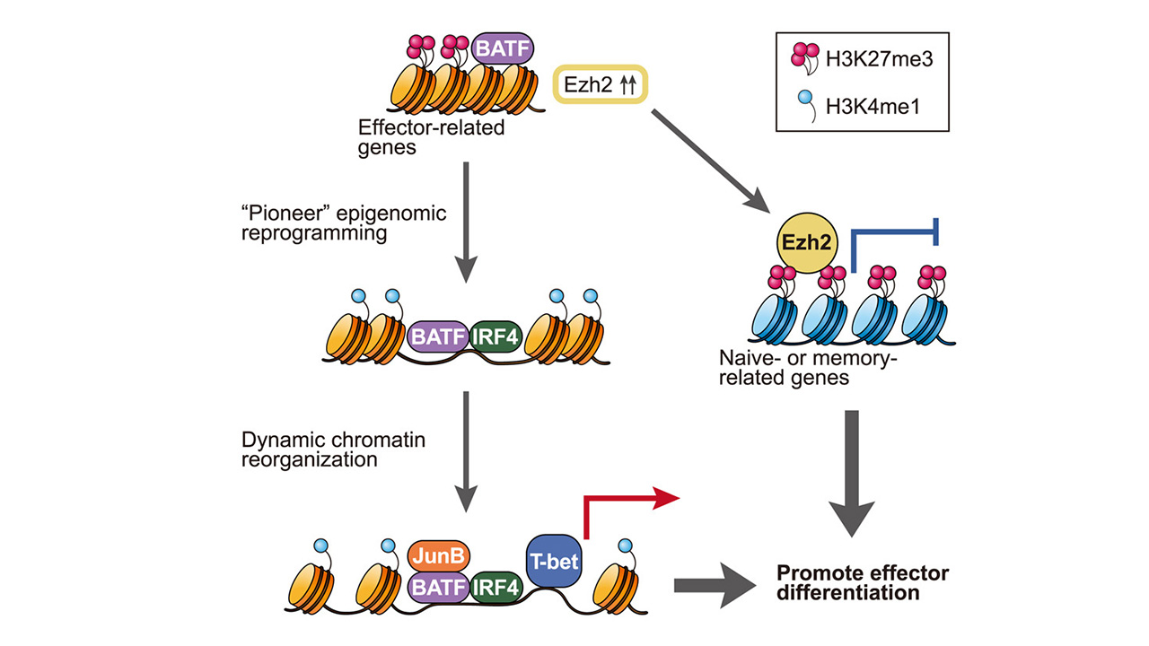 倉知　慎さん 写真