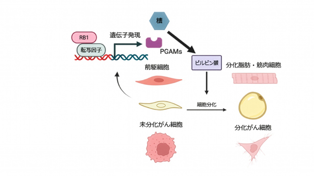 髙橋　智聡さん 写真