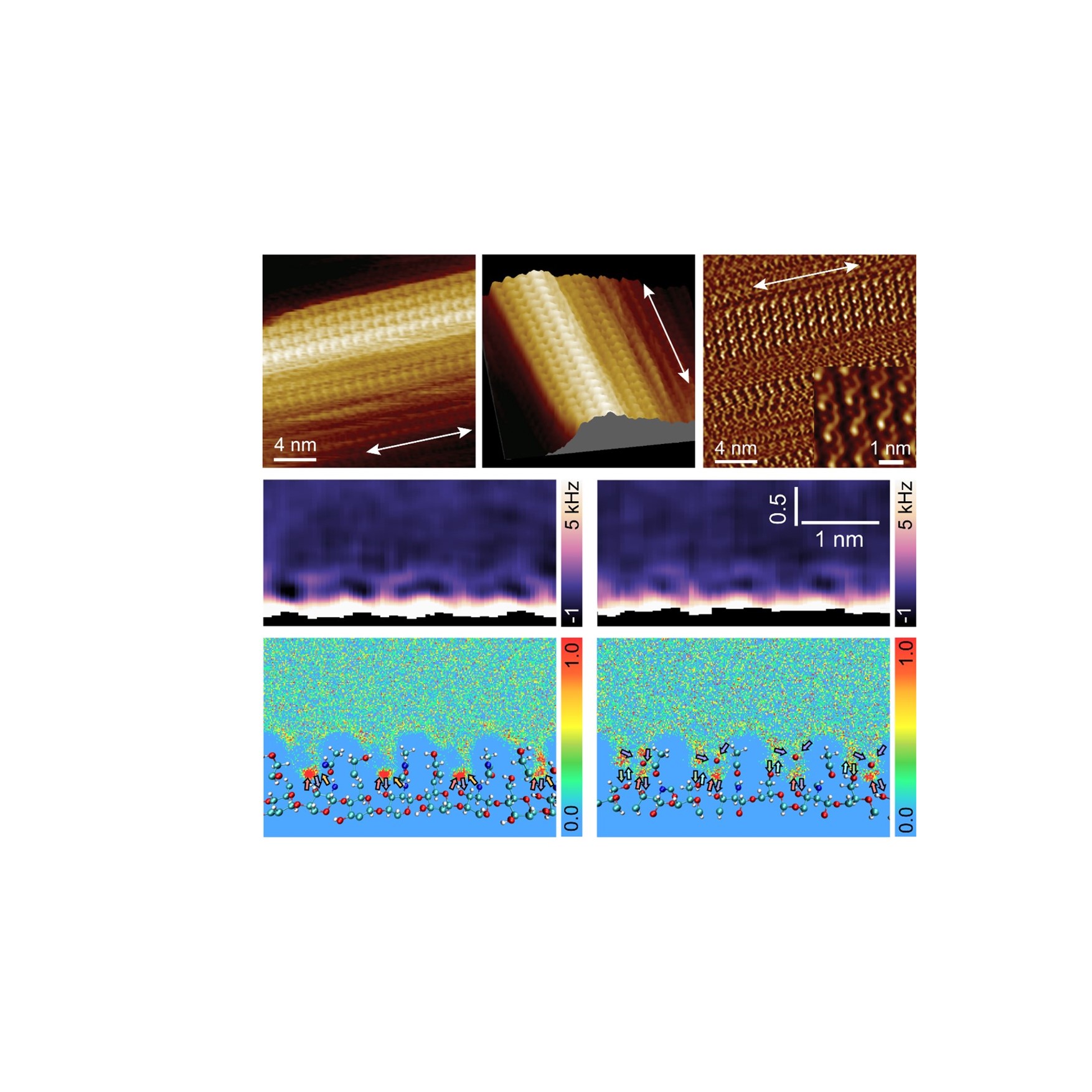 ユルトセベル アイハンさん 写真