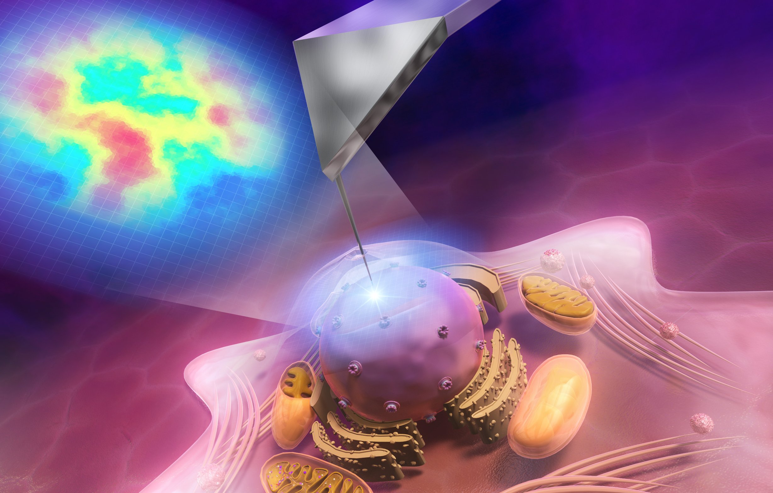 市川 壮彦さん 写真