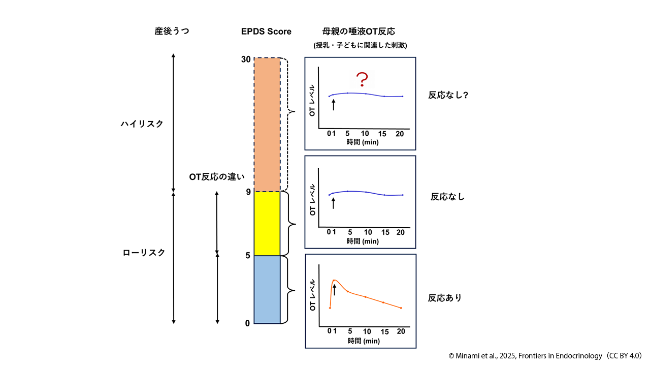 南 香奈さん 写真