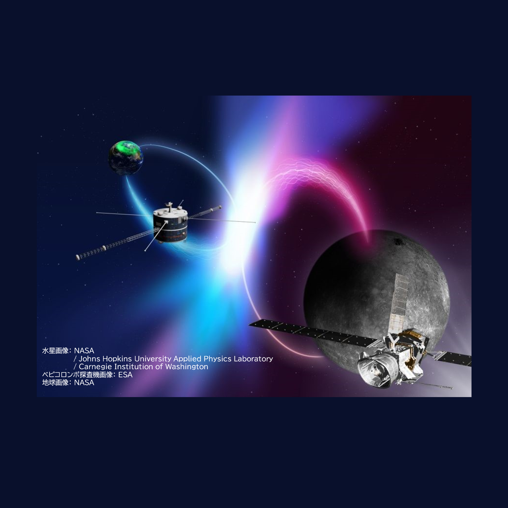 尾﨑 光紀さん 写真