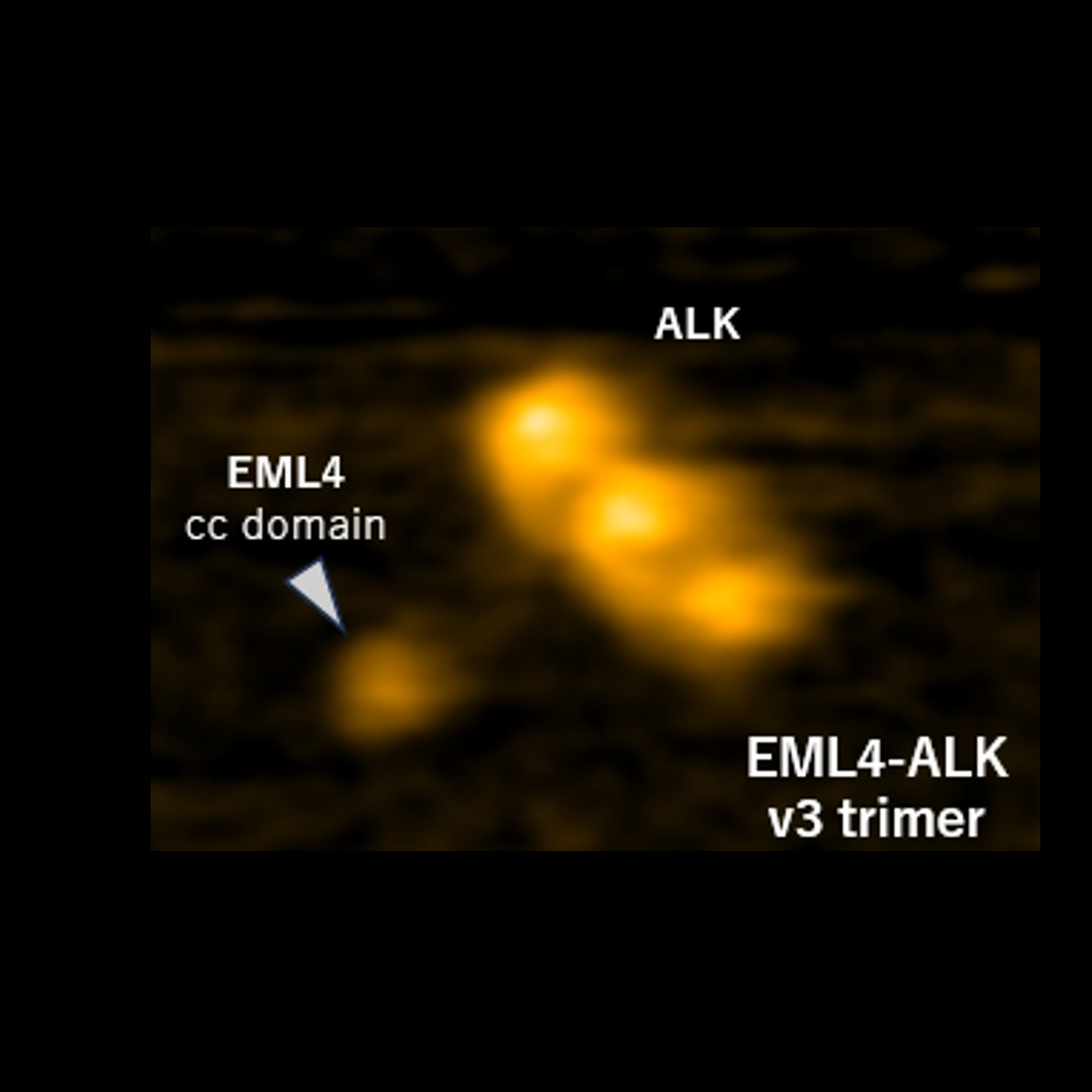 矢野 聖二さん 写真