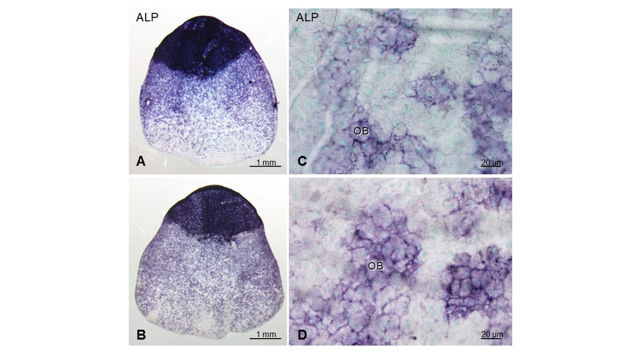 鈴木 信雄さん 写真