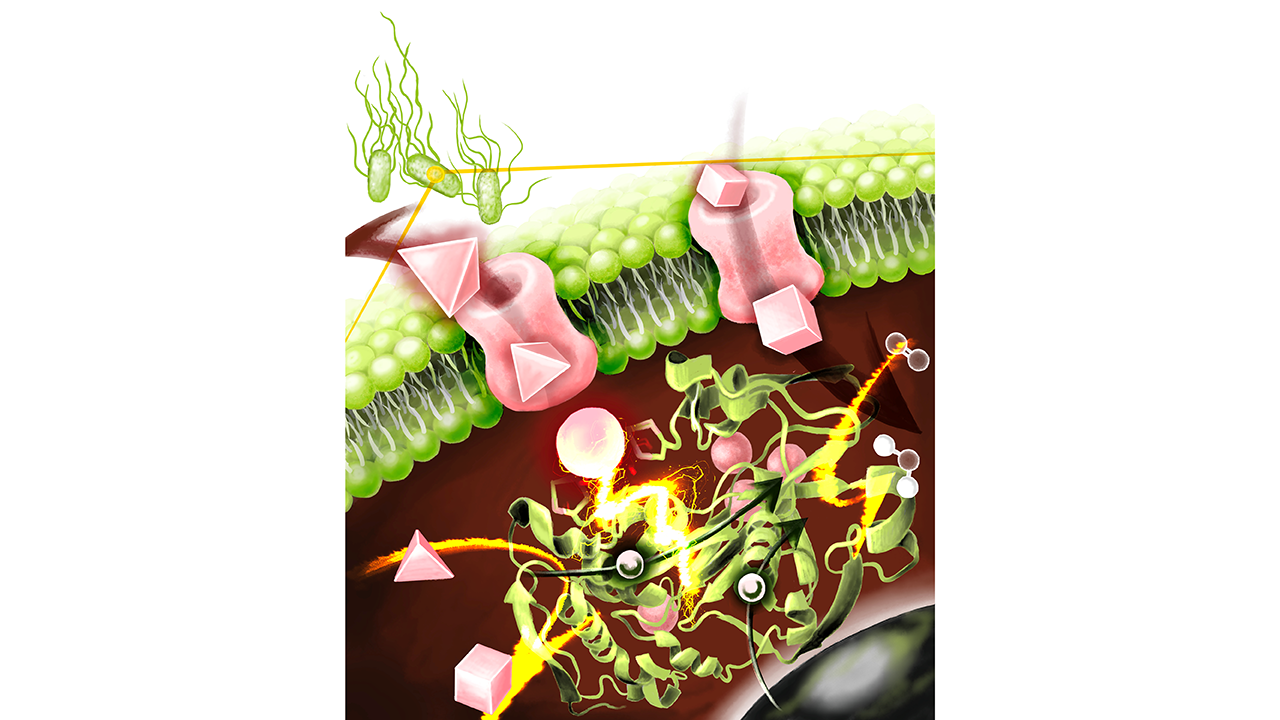 片岡 邦重さん 写真