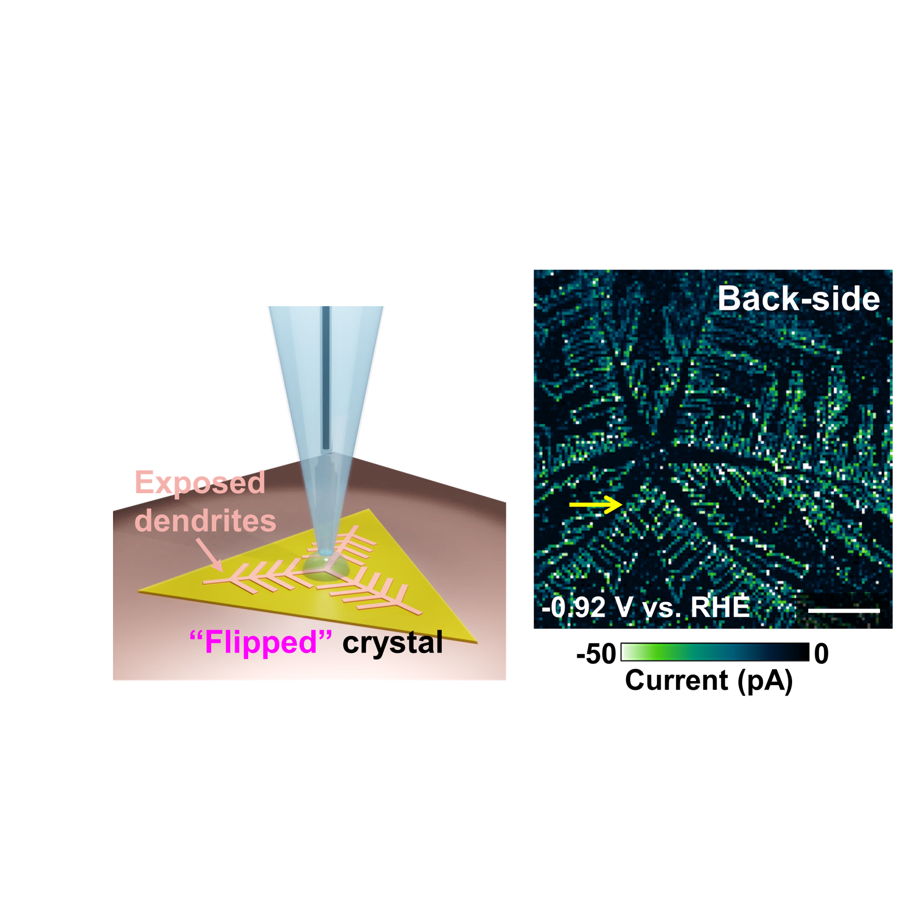 高橋 康史さん 写真