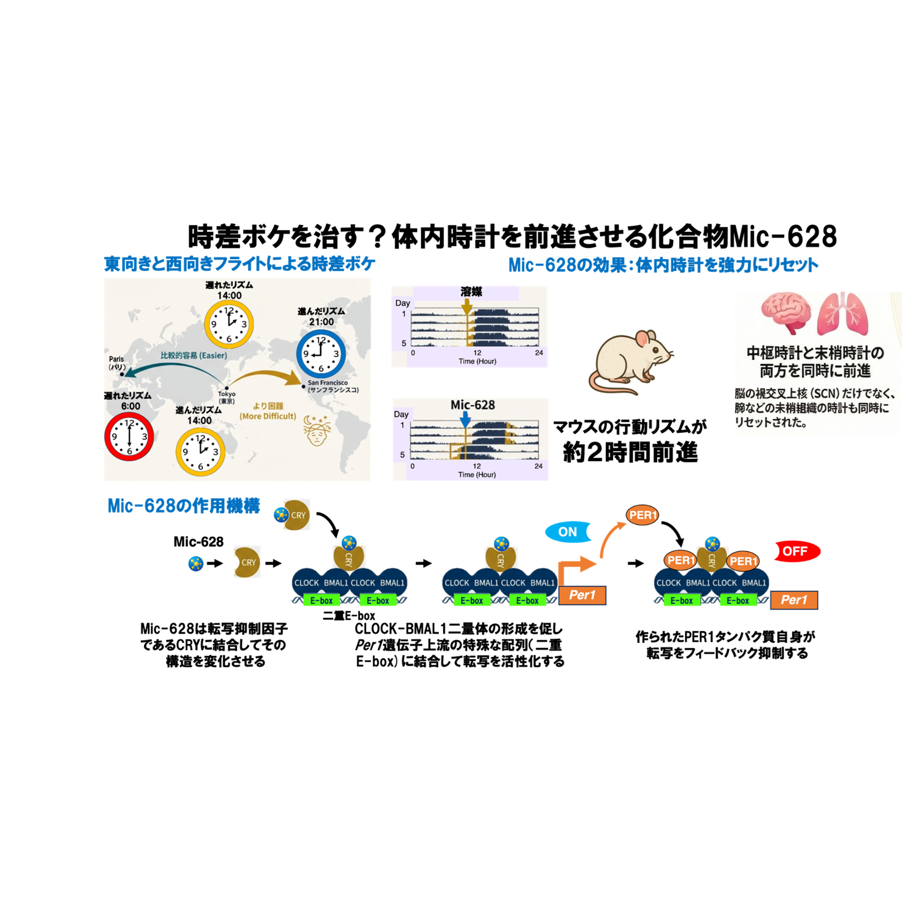 程 肇さん 写真