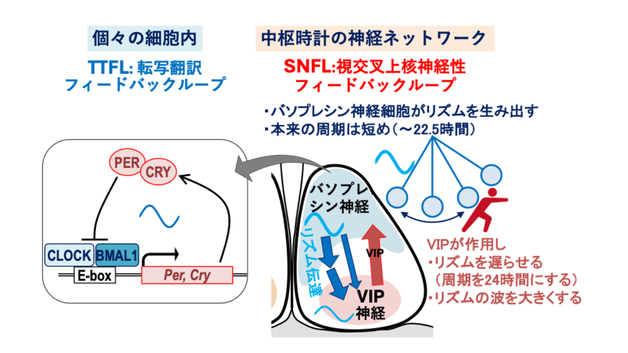 三枝 理博さん 写真