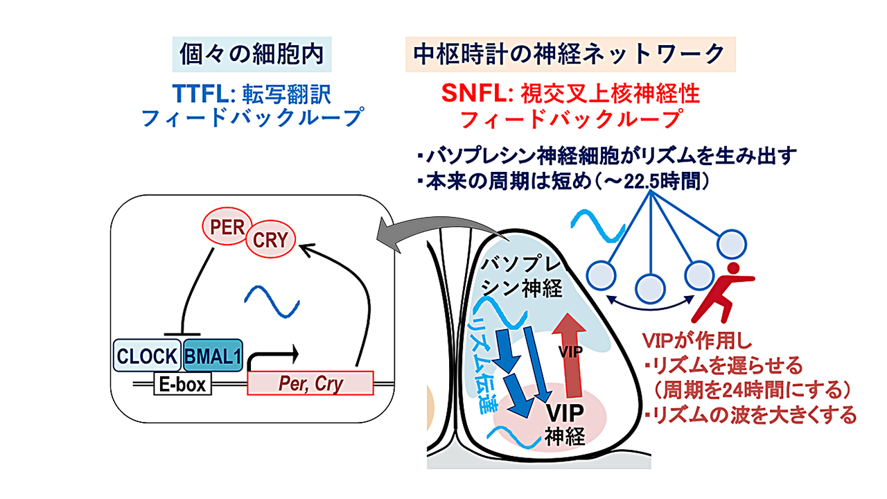 三枝 理博さん 写真