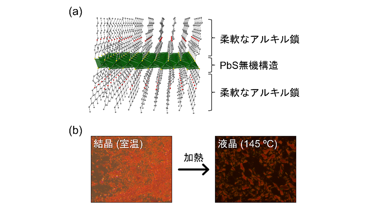 栗原 拓也さん 写真