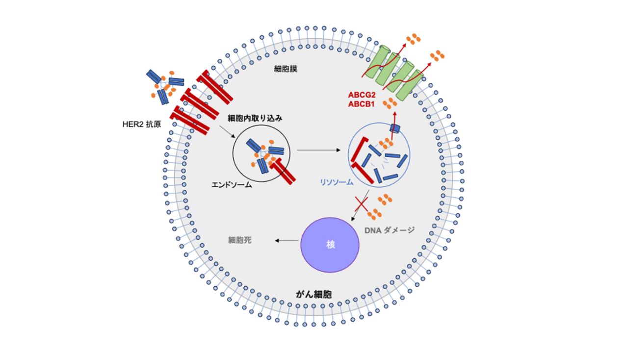 矢野 聖二さん 写真