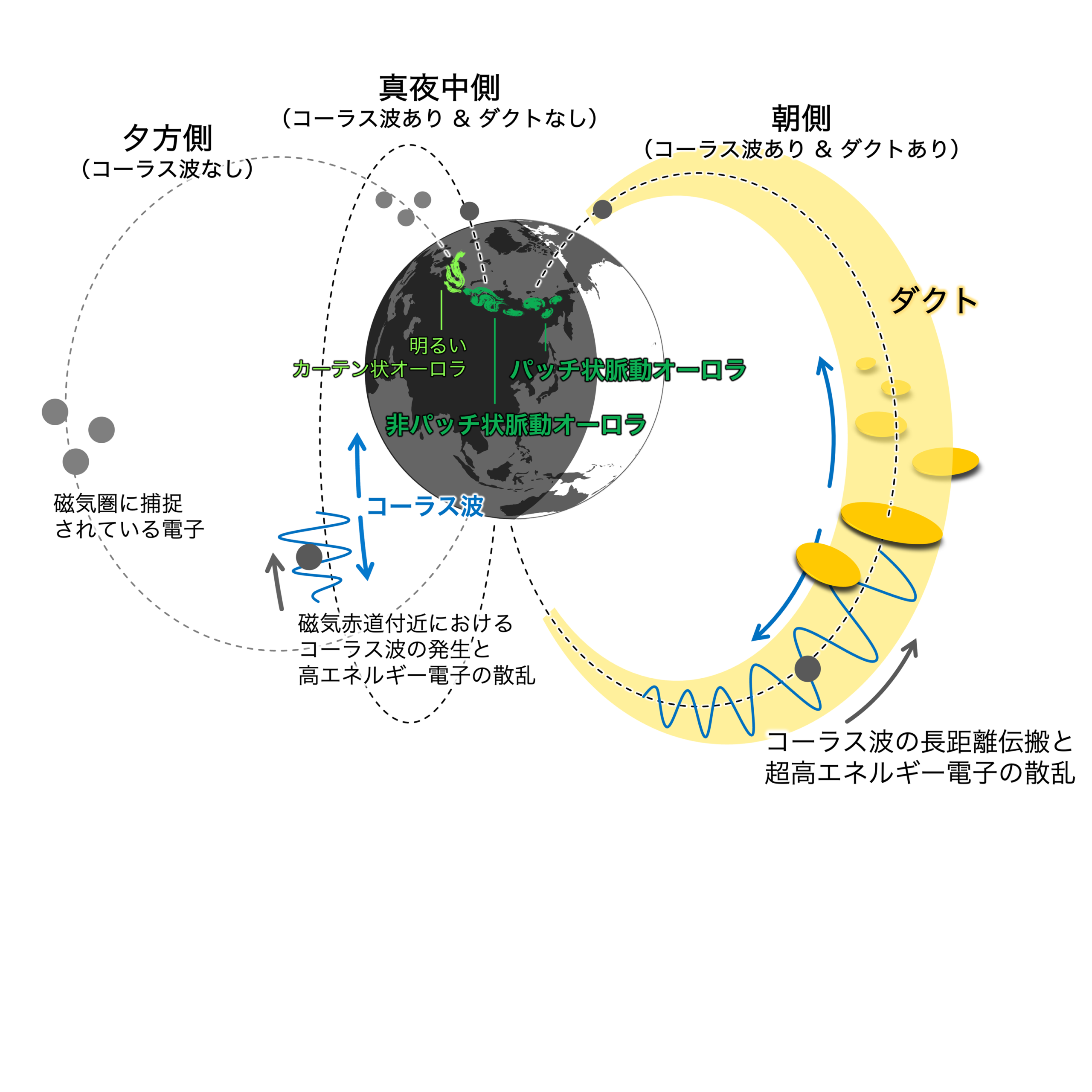 MIRAICHI – 金沢大学